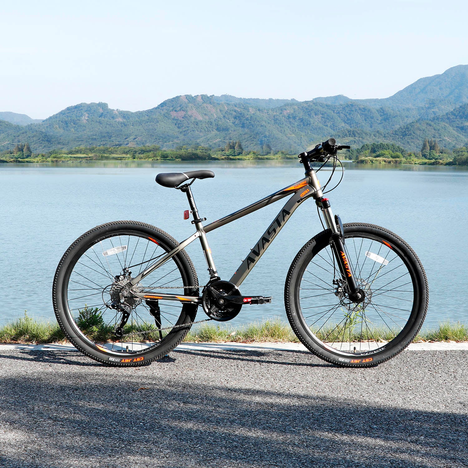 Mountain – AVASTA BIKES