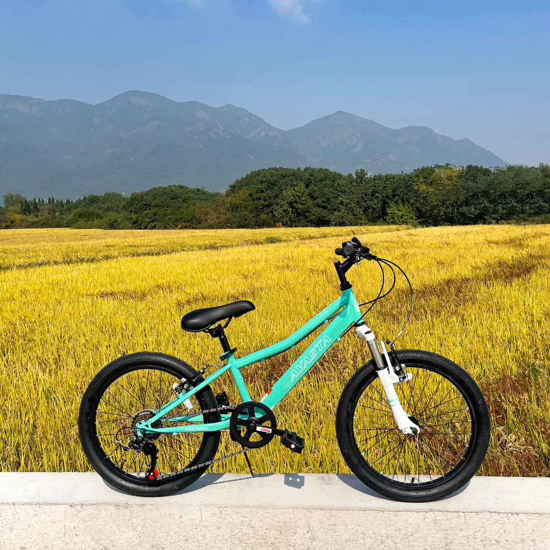 20'' Kids Mountain Bike-Govet