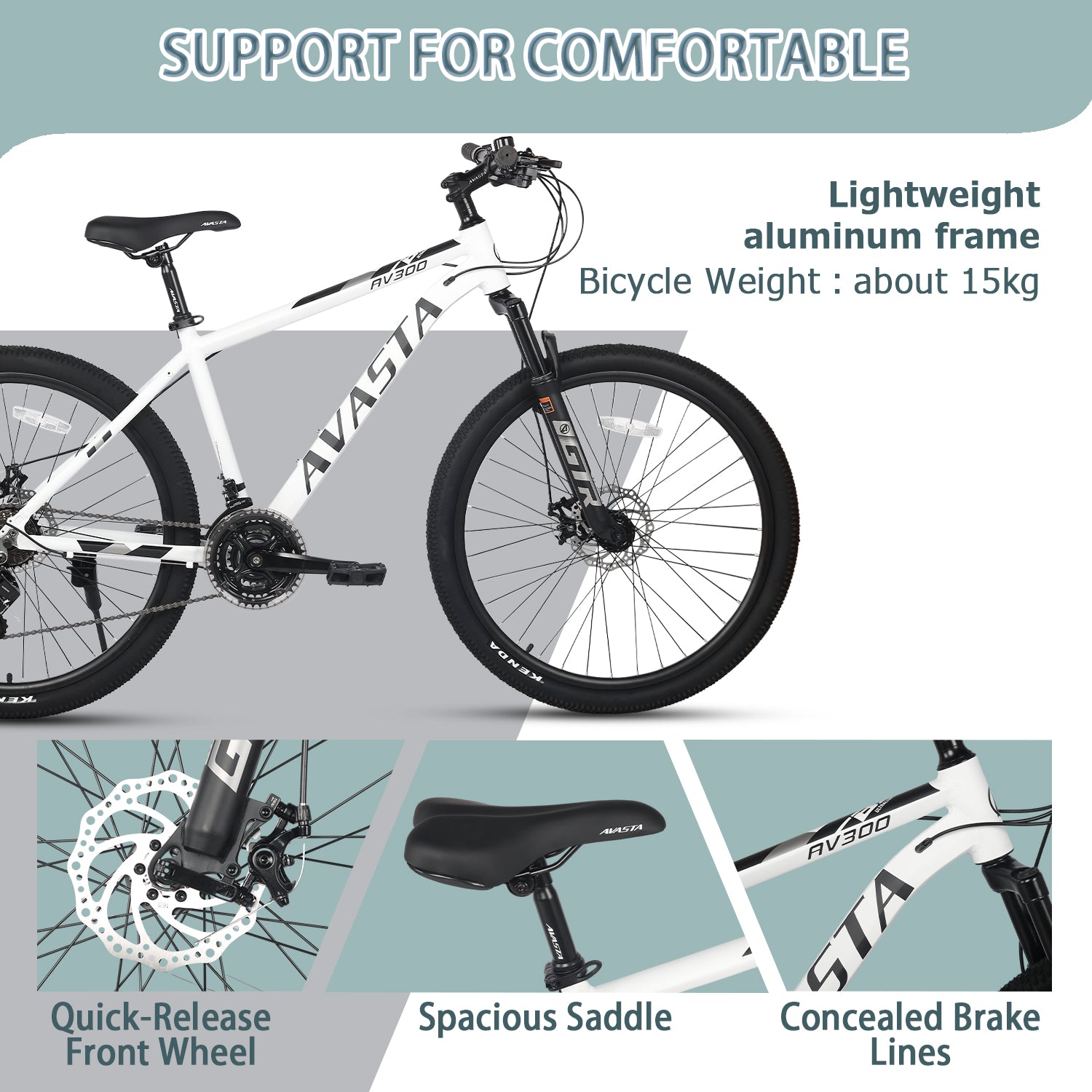 AVASTA 21-Speed Mountain Bike-AV300 – AVASTA BIKES