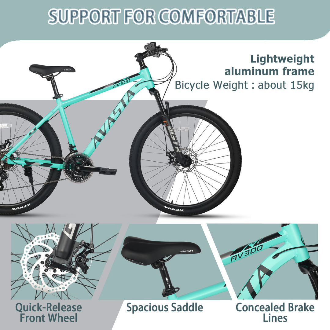 AVASTA 21-Speed Mountain Bike-AV300