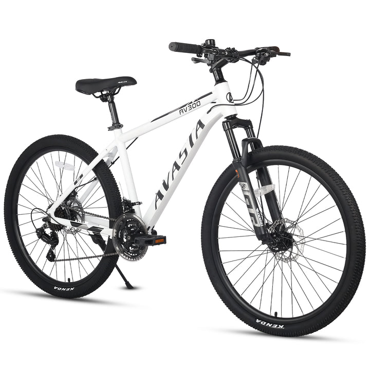 AVASTA 21-Speed Mountain Bike-AV300