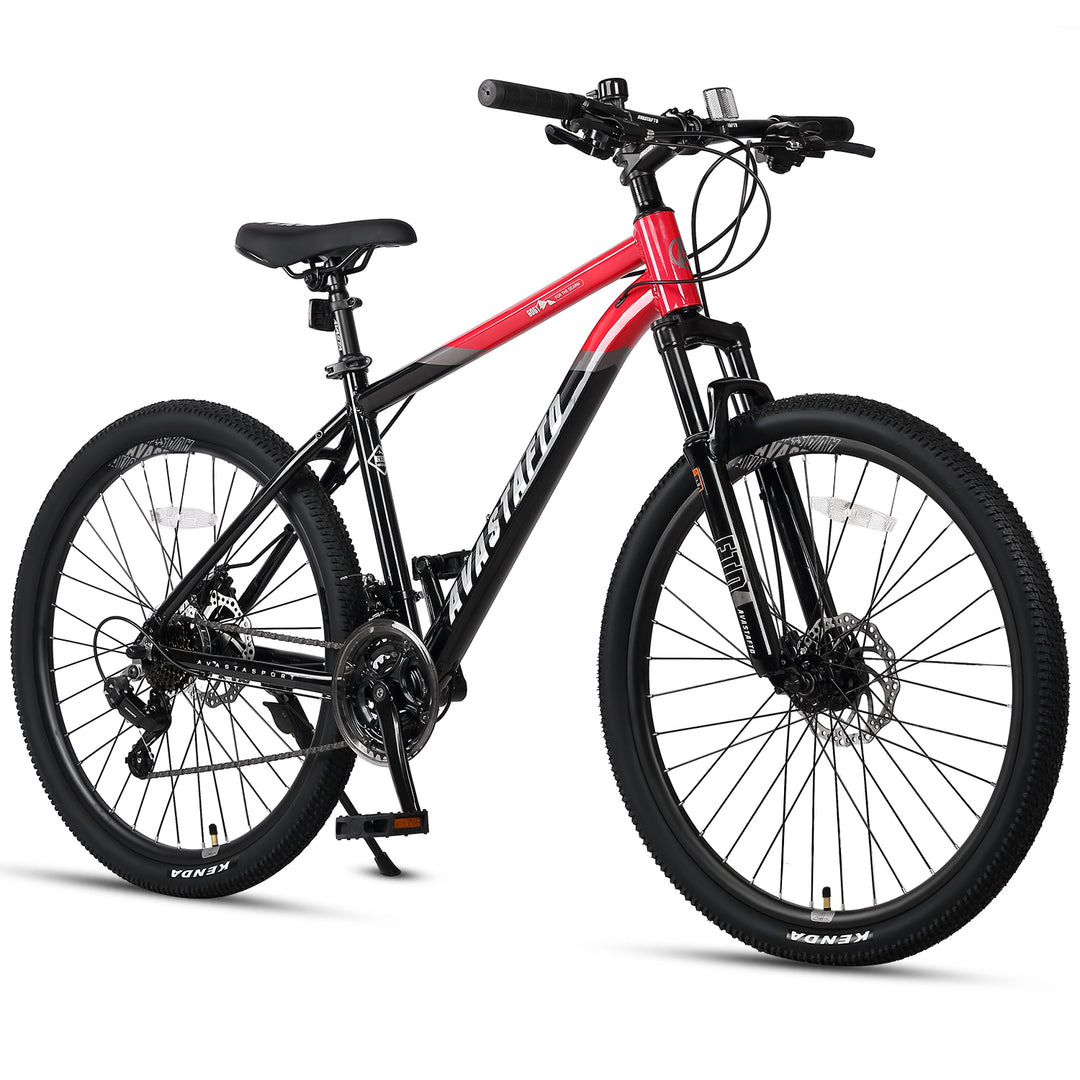 AVASTA Alloy Frame 21-SPEED MOUNTAIN BIKE - FTD