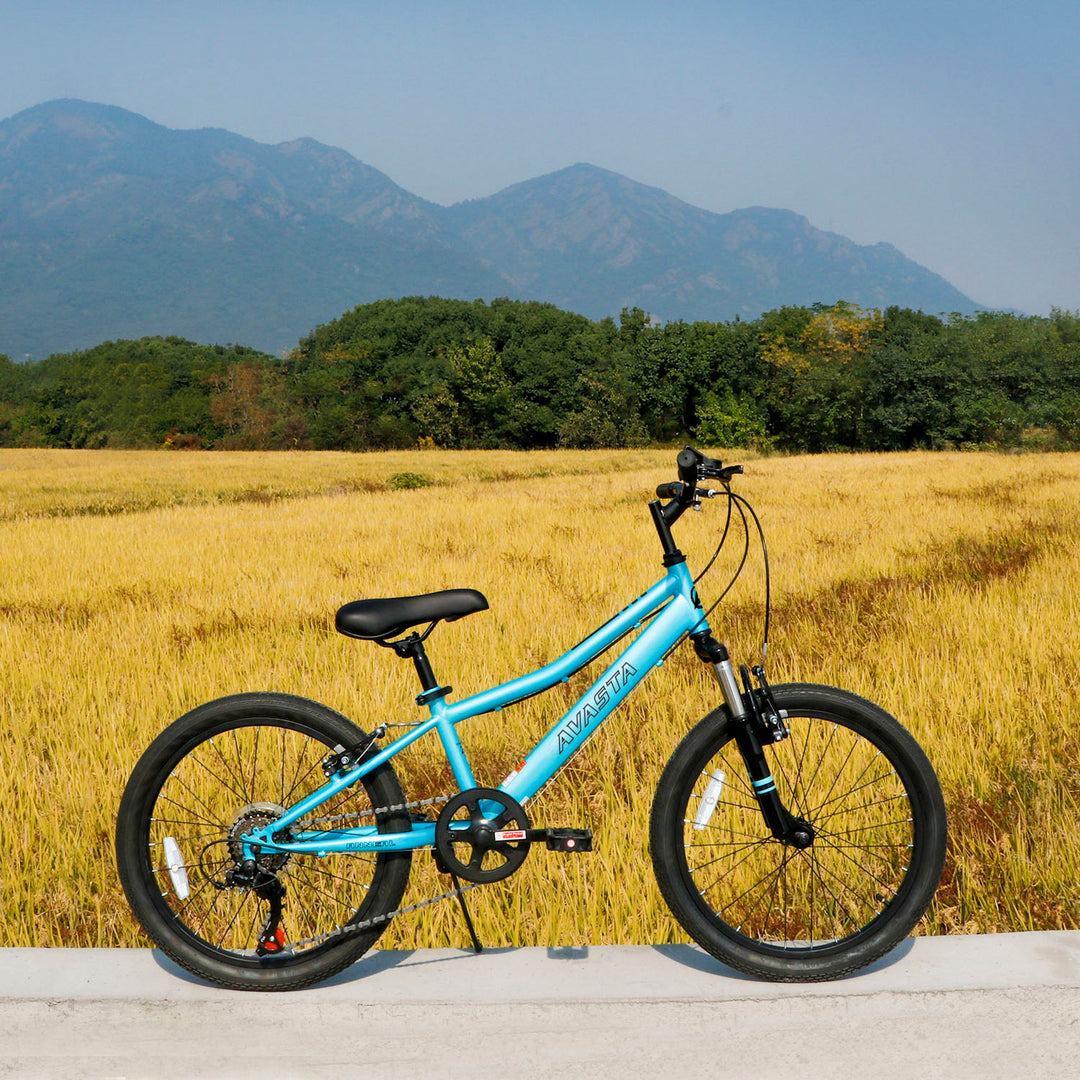 20'' Kids Mountain Bike-Govet