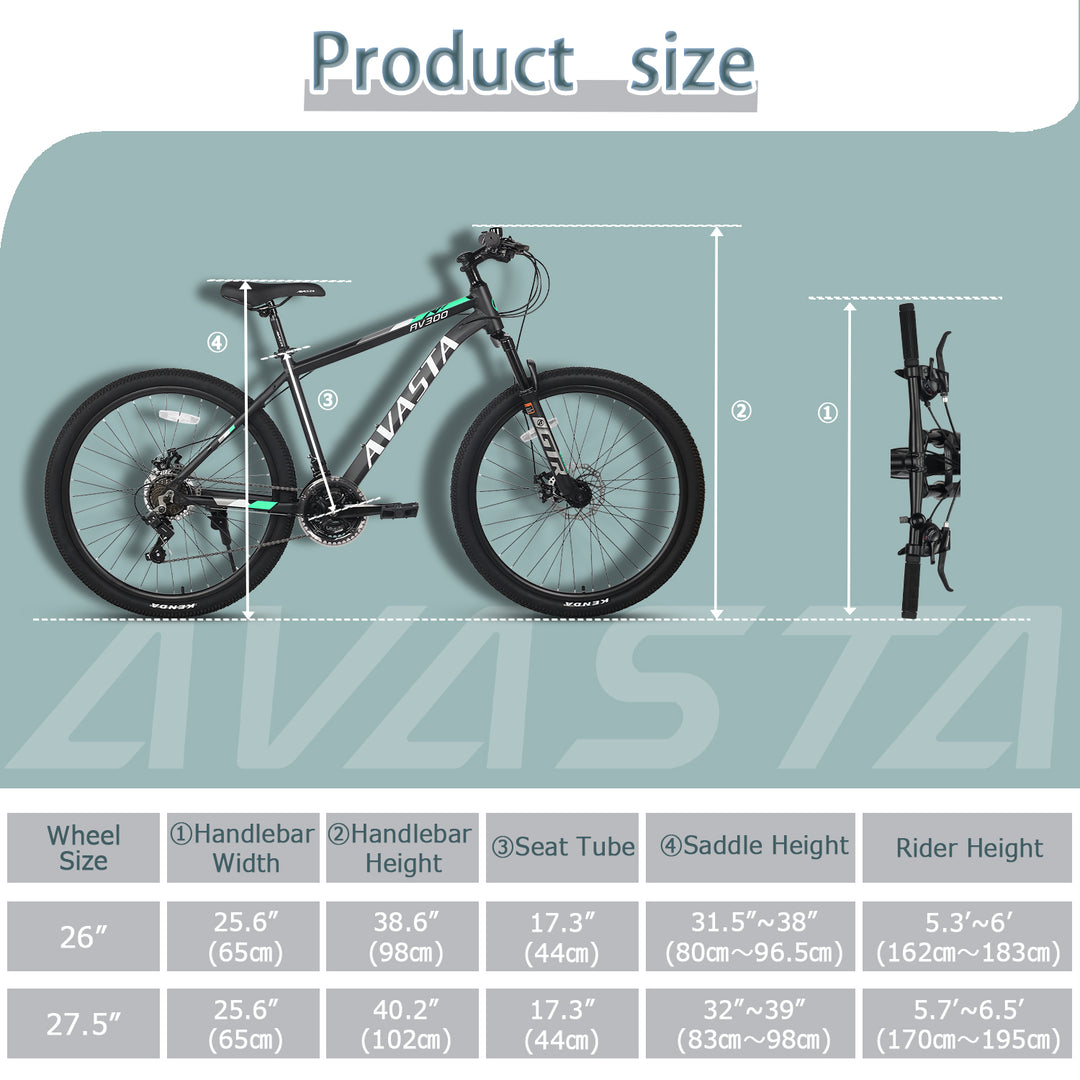 AVASTA 21-Speed Mountain Bike-AV300
