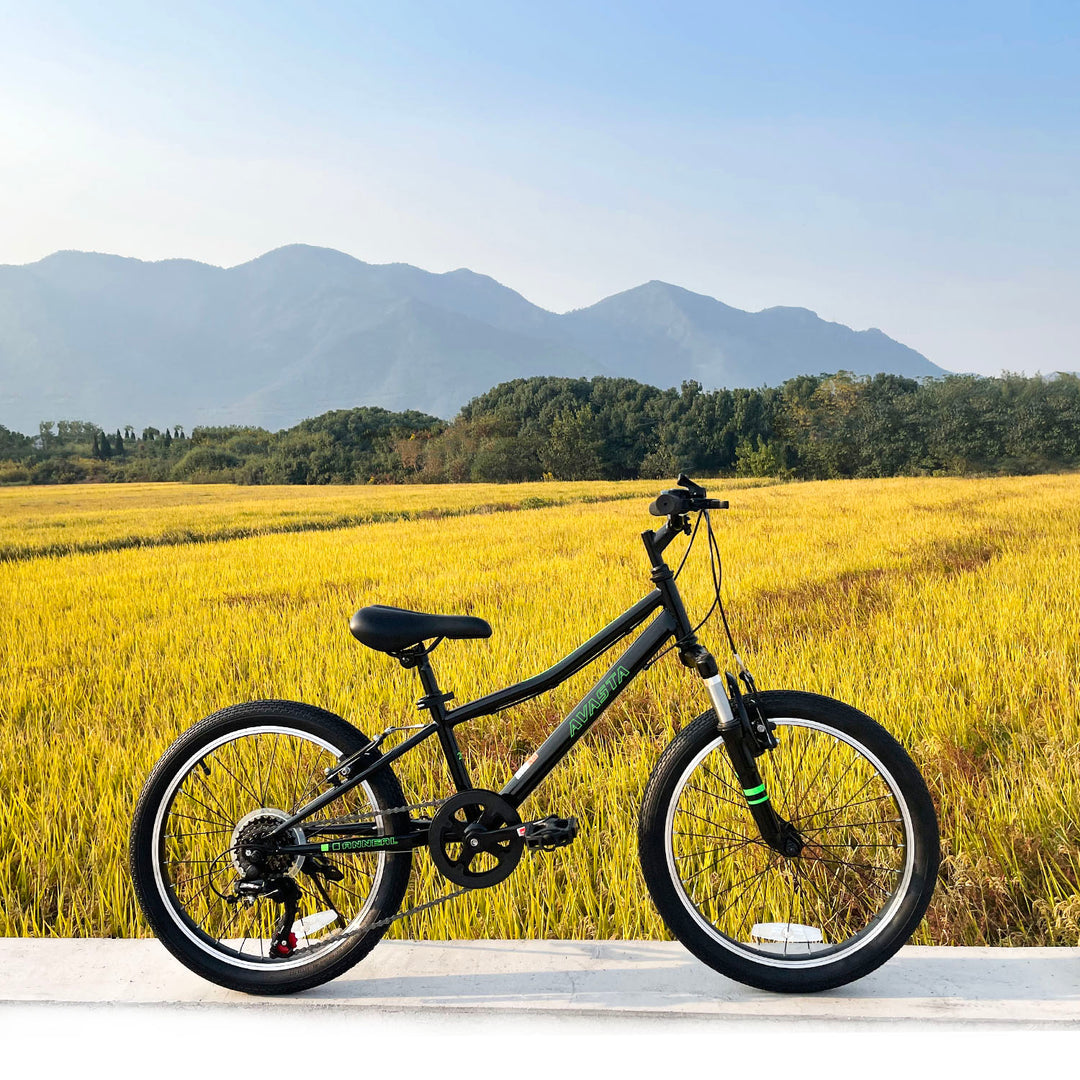 20'' Kids Mountain Bike-Govet