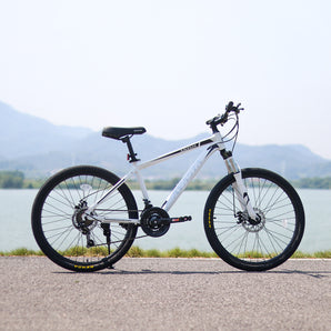 26" Mountain Bike-AAVE-323