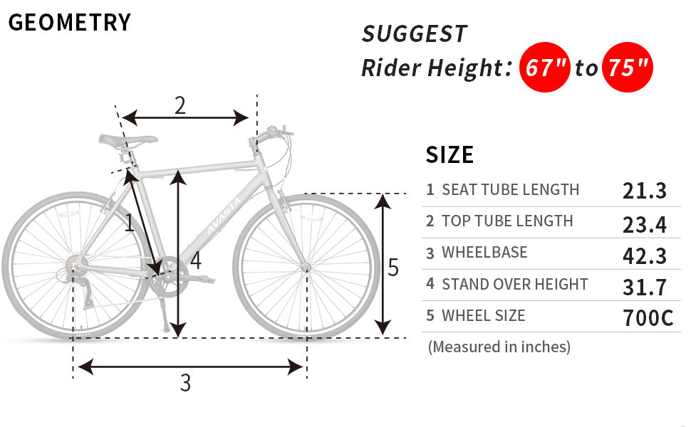 Mountain Bike Sizing Body Geometry Bike Fit Body Position How To